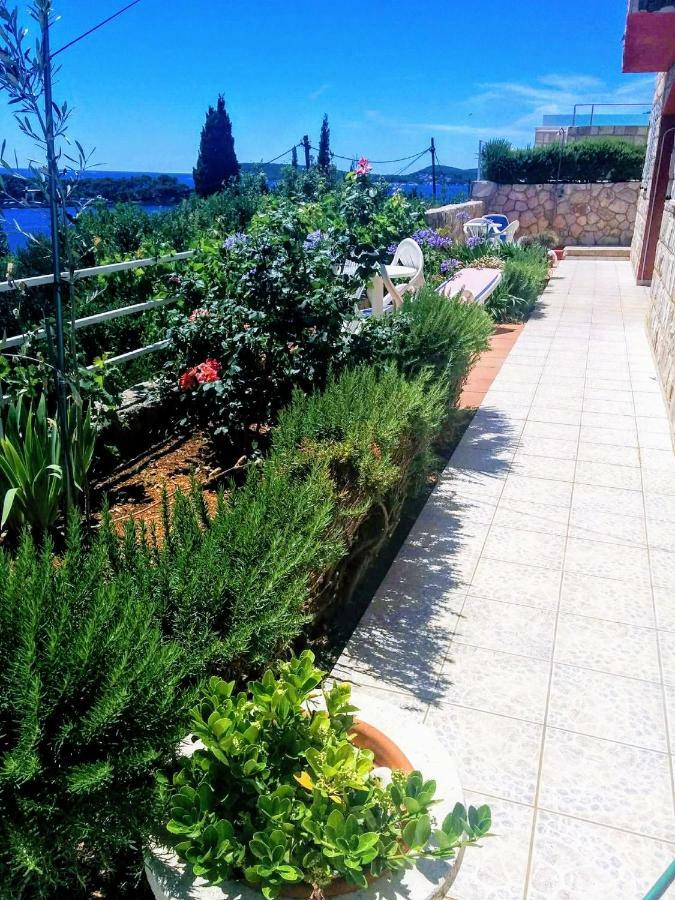 Apartments Anamaria دوبروفينك المظهر الخارجي الصورة